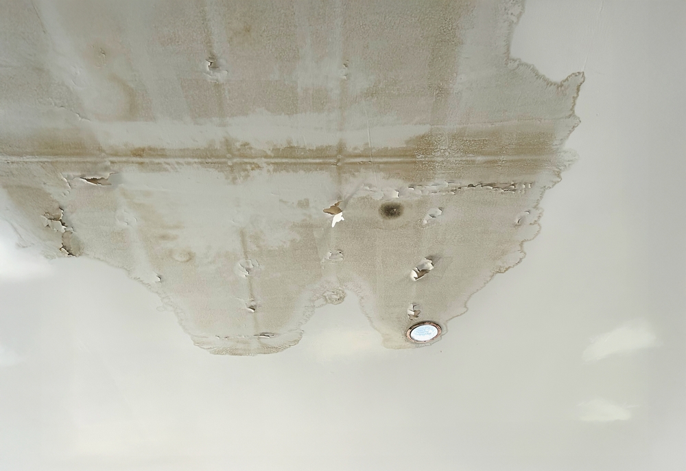 Roof,Leak,Cause,Ceiling,Stain,,Ceiling,Water,Damage.